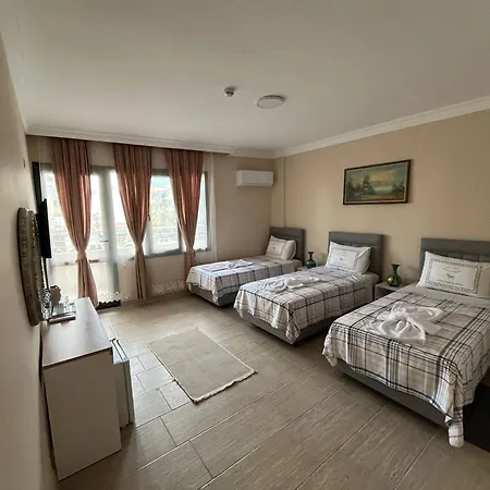 Efes Artemis Hotel *