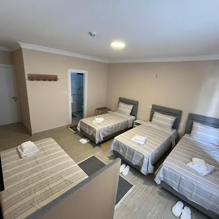 Hotel Efes Artemis *